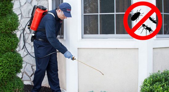 Esenler Fare İlaçlama böcek ilaçlama ve haşere kontrolü — ilaclama-tr.com